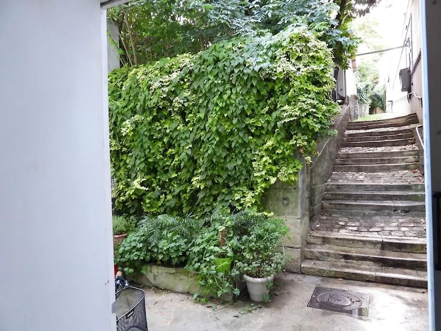 Beauty Of Paris Apartment France